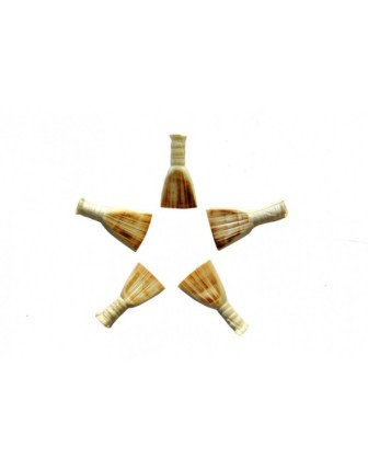 Zurna Kamışı Zk5 5 li  (Extra)