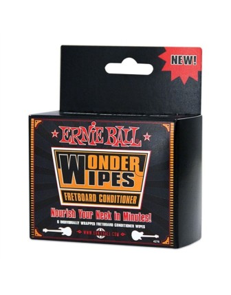 Ernie Ball P04276 Tel Temizleme Polısh