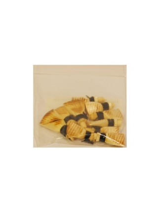 Zurna Kamışı Zk10 10 lu  (Extra)