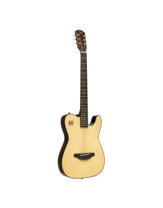 J.N EW300 CN  Elektro Akustik Gitar