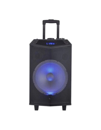 Oyility DK-12 300W Taşınabilir Mikrofonlu Hoparlör