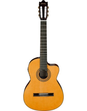 Ibanez ga shop